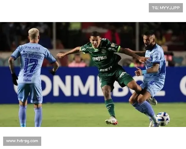 帕尔梅拉斯与弗拉门戈会师利马，争夺队史第四座解放者杯