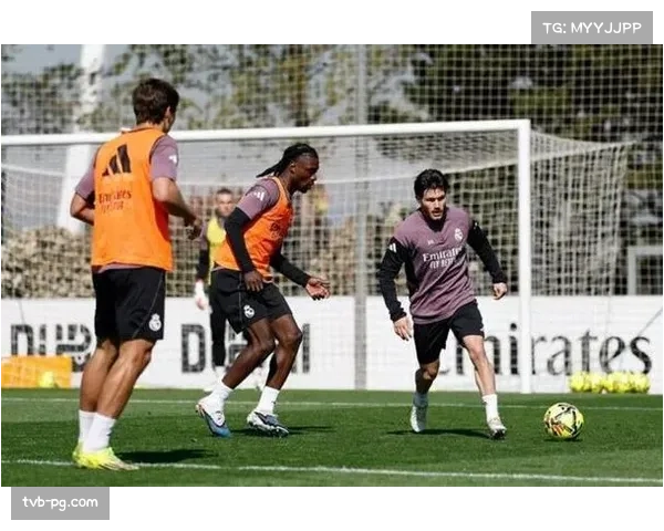 官方:皇马中卫米利唐恢复完整合练,有望在欧冠次回合复出 官方:皇马中卫米利唐恢复完整合练,有望在欧冠次回合复出